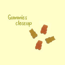 Load image into Gallery viewer, Kids Multivitamin Gummies (Exp: 31/12/2022)